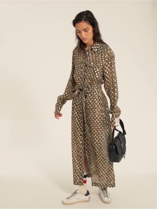 Golden Goose Dresses & Skirts - Golden Goose Leopard Print Luxury Shirt Dress Size Medium EUC